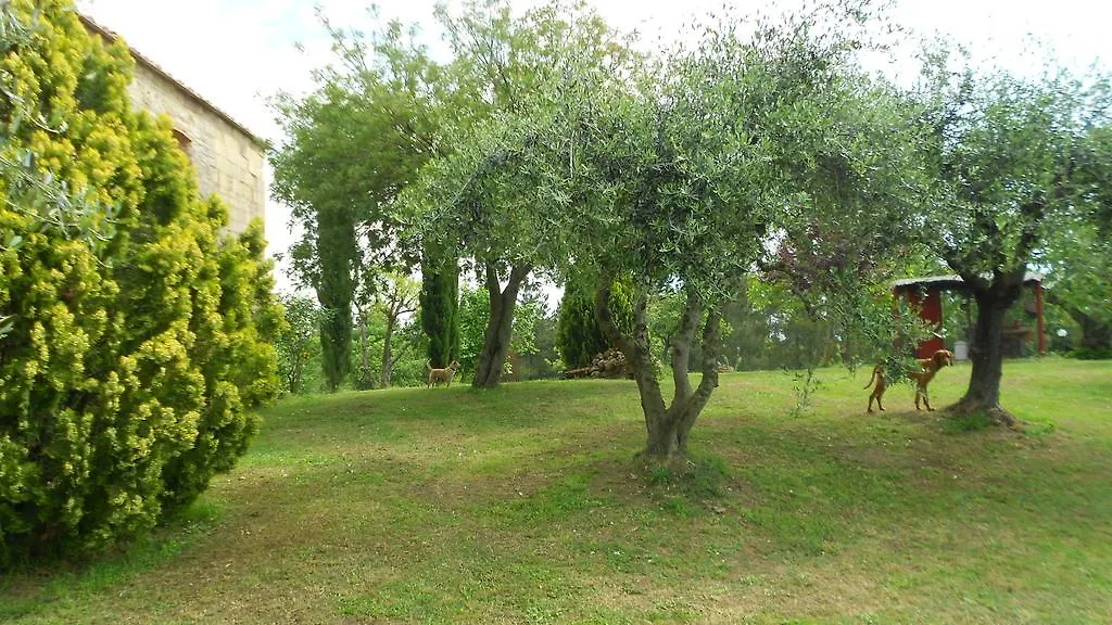 San Martin Del Colle Holiday Home Casciana Terme Italien
